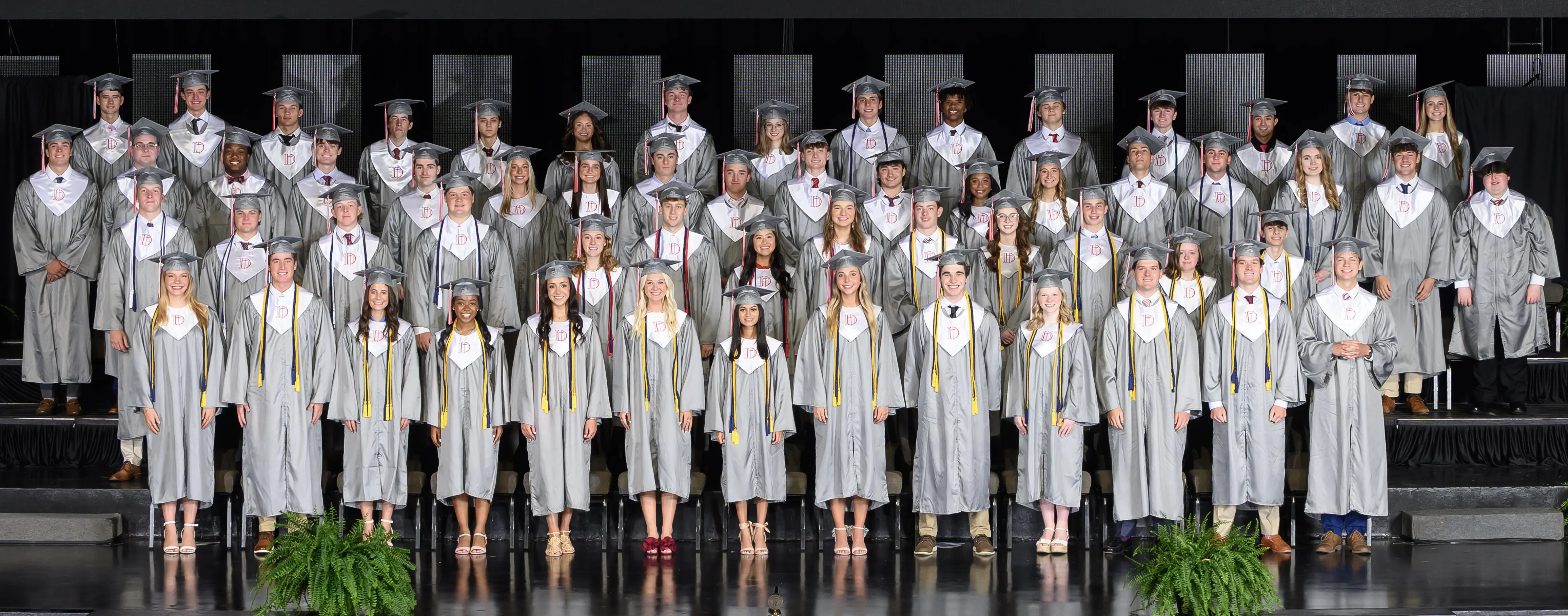 OptimizedImage,Optimized