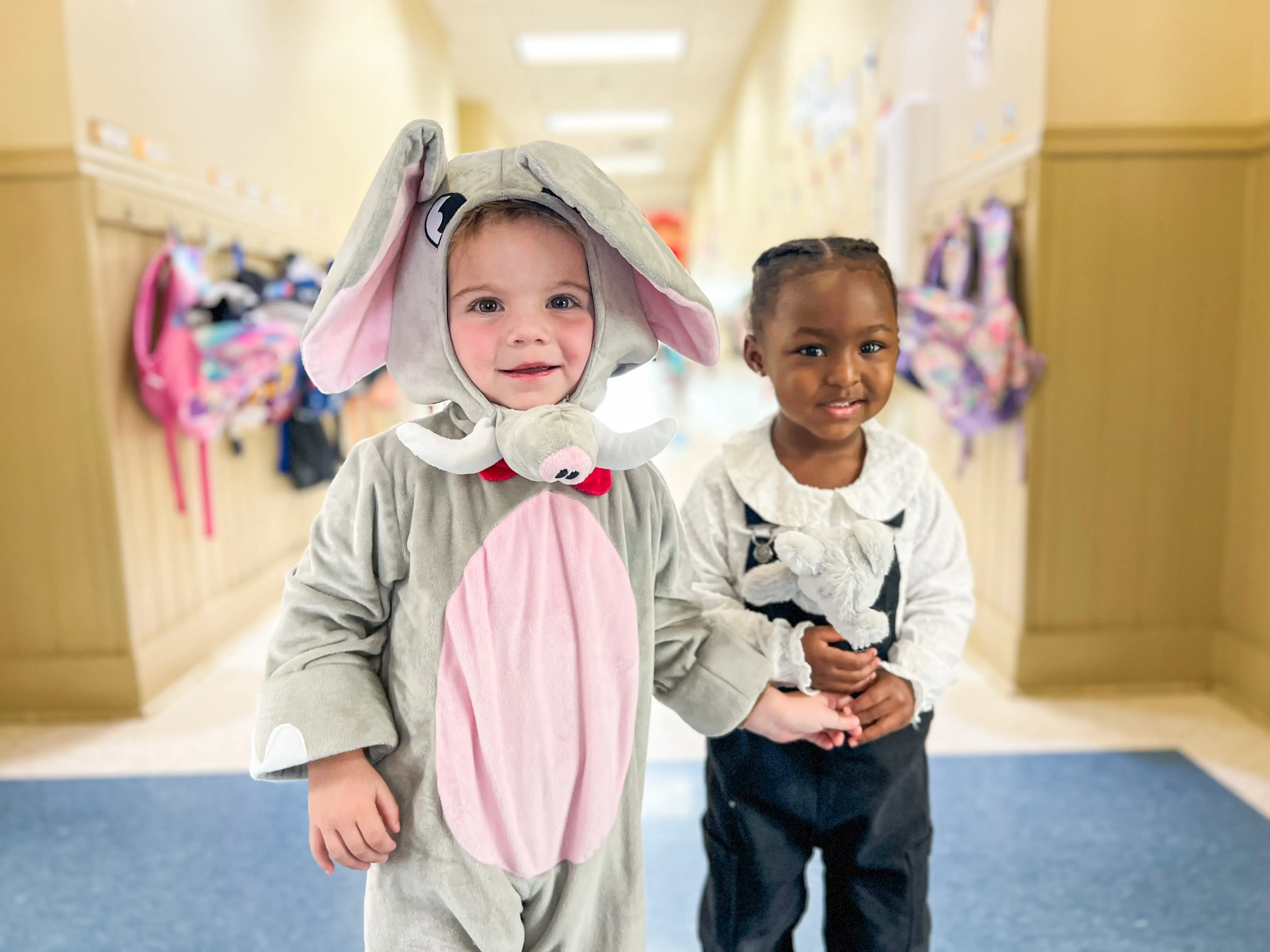  OptimizedImage,Optimized