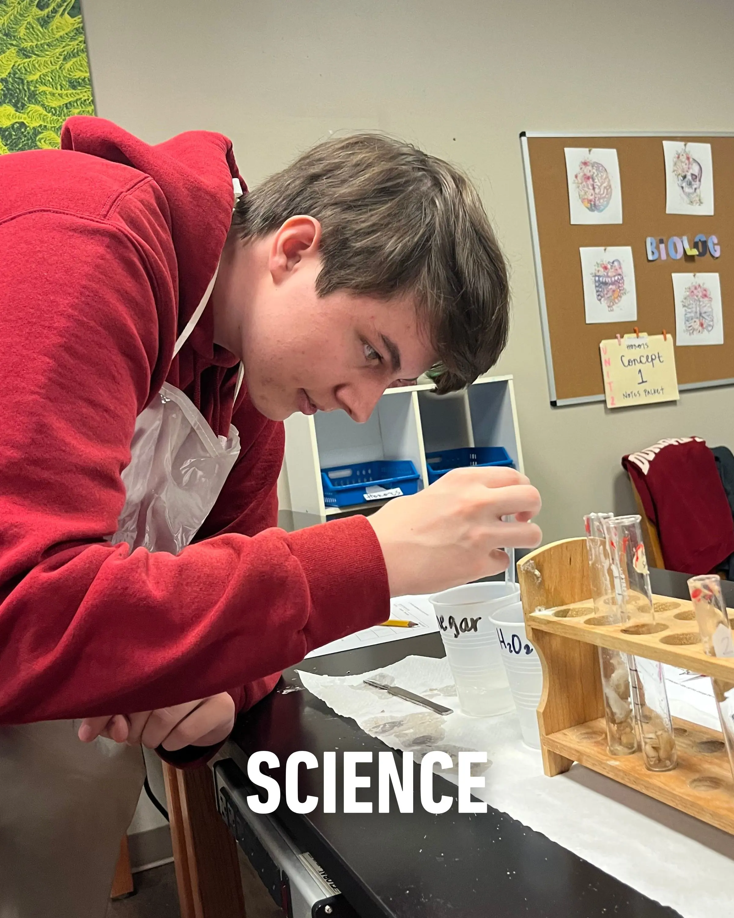  OptimizedImage,,,Optimized